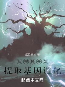 妖魅公主的殿下