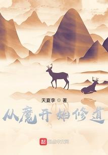 平凡与荣耀