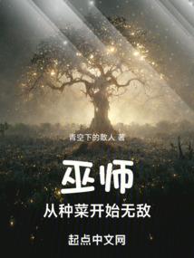 海贼王之金乌破天