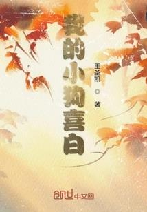 崩坏位面见闻录