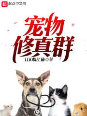 那扇窗