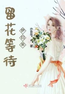 异大陆碎片