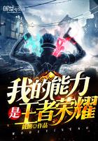 镜界之域