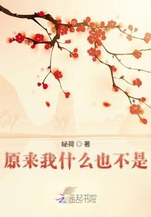 盖德奥特曼地球篇