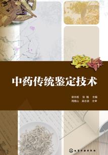 永恒之时风
