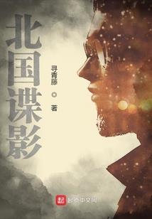 《浮沉苍穹》