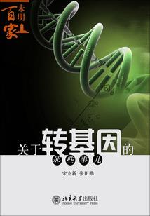 重生之打造小康生活