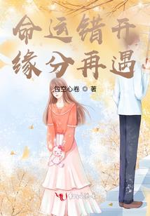 海贼之御风剑术