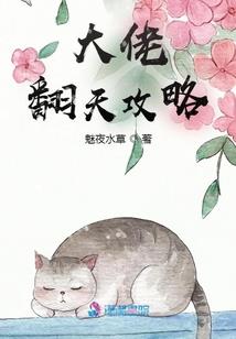 重生：Boss，放开你的手
