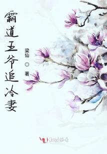 再见叶宁儿