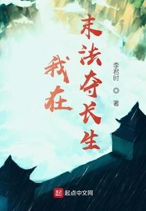 当贼遇上盗贼