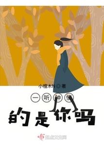 倾我三世年华爱恋