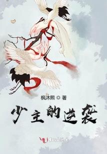 十七岁下的天空
