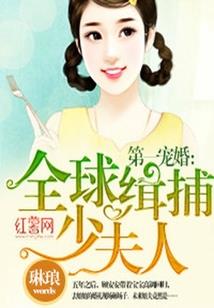 清穿之秋水伊人