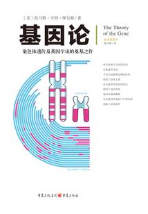 毁灭人生