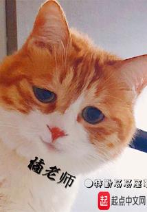 完美血脉系统
