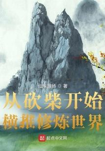 最后的剑武士
