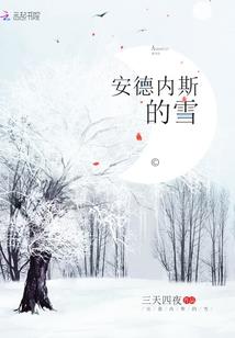 火焰之纹章圣魔幻想