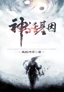 我的网络传奇