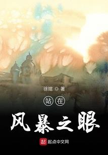 穿越之愿负天下不负卿