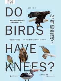 莫望北方慕在南墙
