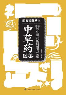 一剑戮九天