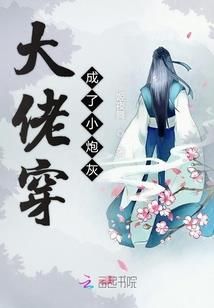 骑士与帕梅卡