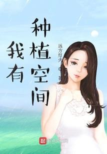 异界之秉