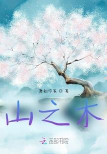 阴阳吏者