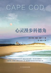 海贼之次元沟通群