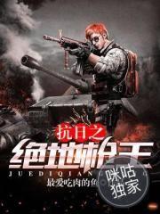 乱起文明
