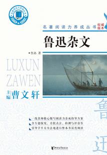 星海小虾传