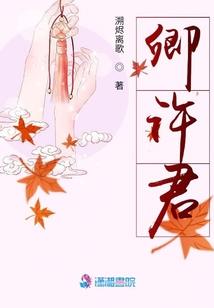 山鸡斗凤凰