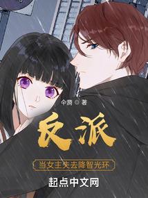 大燕天启传