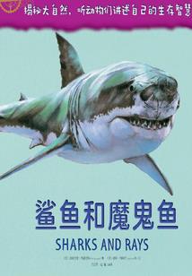 偏偏就是我的菜