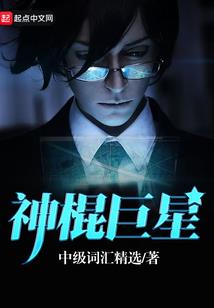 痴人一梦之天条
