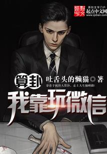 大续梦师