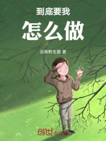 苍穹之纪