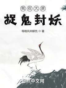 请别给我套路系统流
