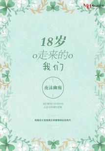 海贼王之模板一拳