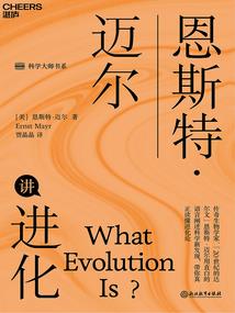 与黎明无缘