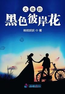 追风情劫