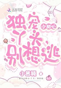 总裁的宝贝公主