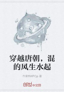 盗星迷情