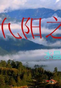 情破苍天