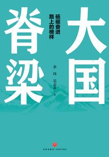 我的金属巨龙分身