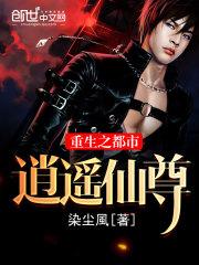 宠物小精灵之风暴少年