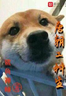 迟钝懵懂的我，多想重新来过
