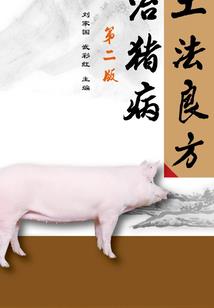 熊出没之超级系统