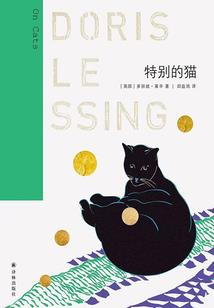 孤独的召唤师
